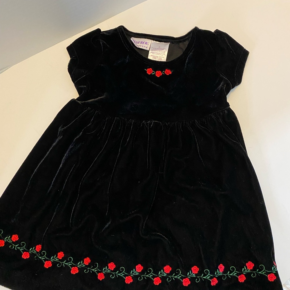 Blueberri Boulevard Toddler Girls Dress Black Velvet with Red little Roses.SZ 2T